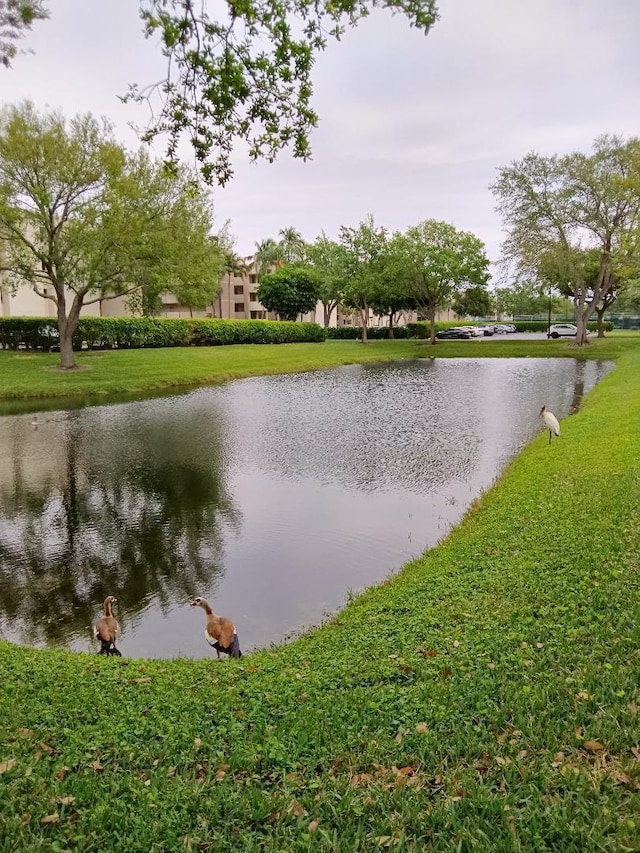 water view