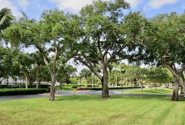 view of community with a lawn