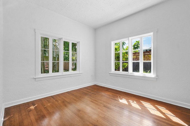 unfurnished room featuring plenty of natural light, wood-type flooring, and a textured ceiling