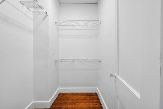 spacious closet featuring hardwood / wood-style floors