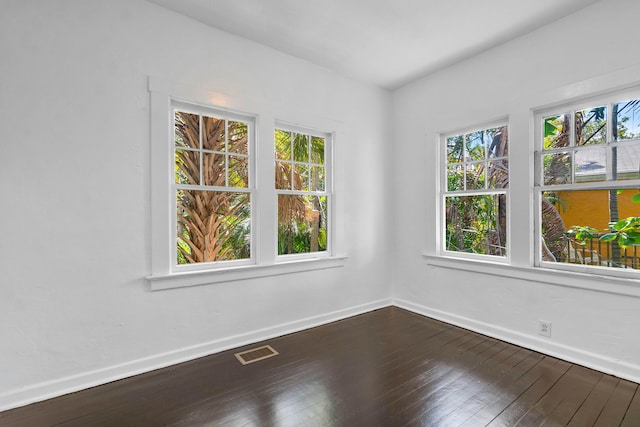 spare room featuring wood-type flooring