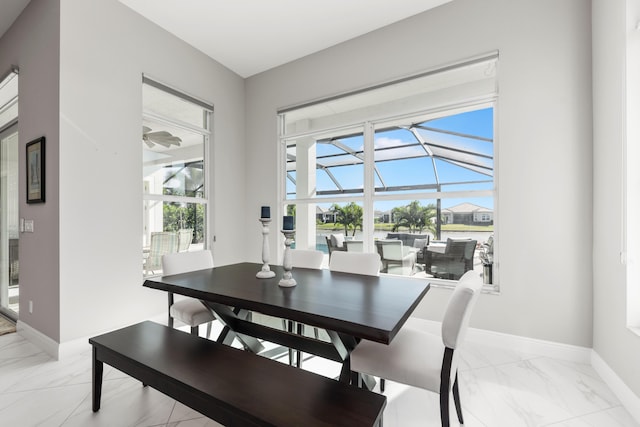 dining room with a wealth of natural light