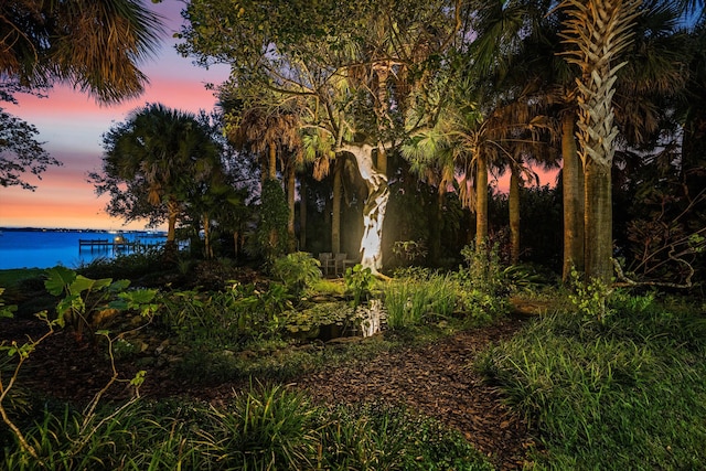 yard at dusk with a water view