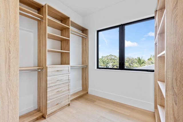 walk in closet featuring hardwood / wood-style flooring