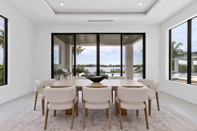 dining space featuring plenty of natural light and a tray ceiling