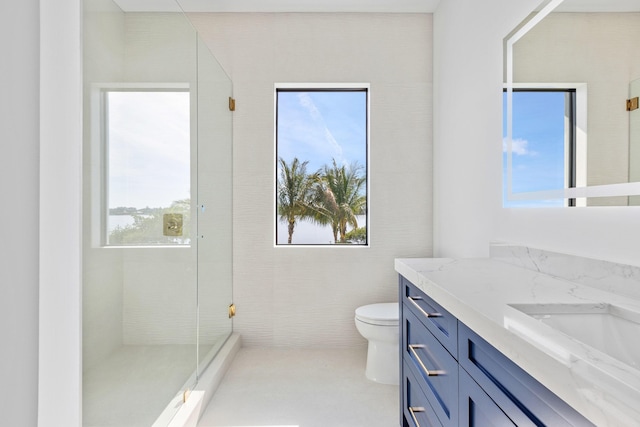 bathroom with vanity, toilet, and walk in shower