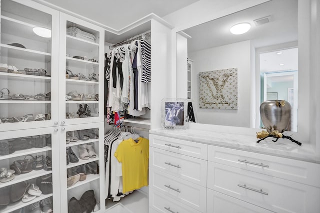 view of spacious closet