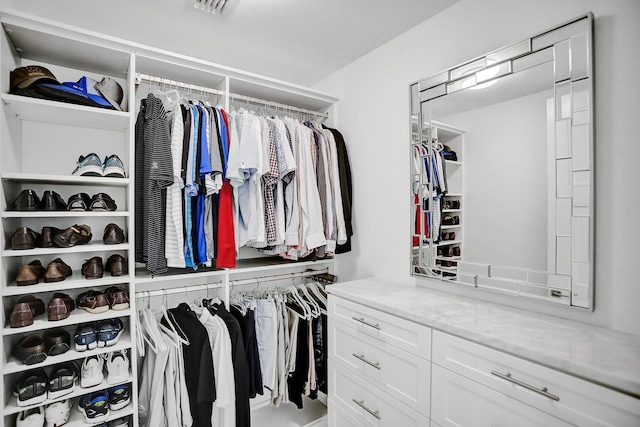 view of spacious closet