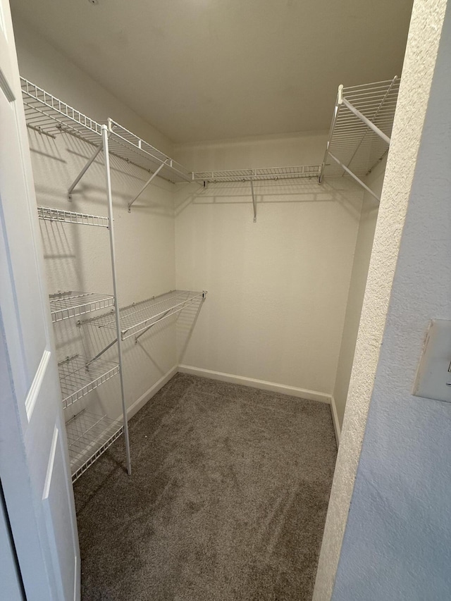 walk in closet with dark colored carpet