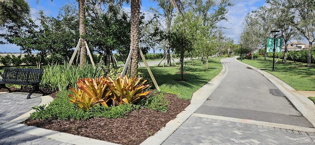 view of community featuring a yard