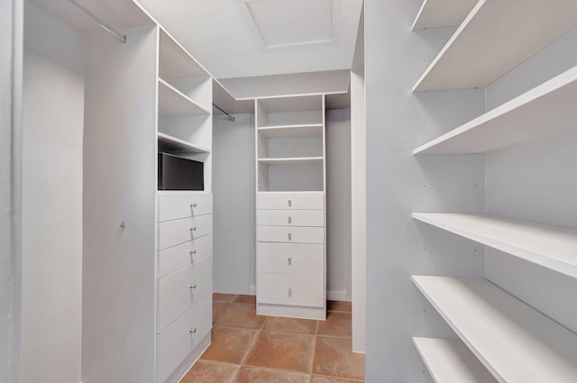 view of walk in closet