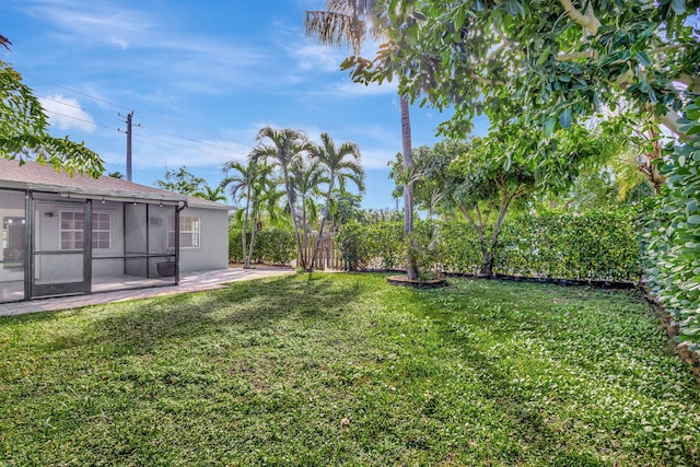 view of yard featuring a patio area