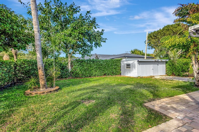 view of yard featuring a storage shed