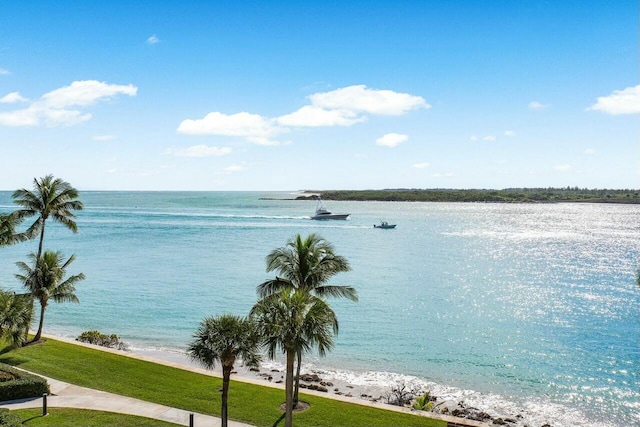 water view featuring a beach view