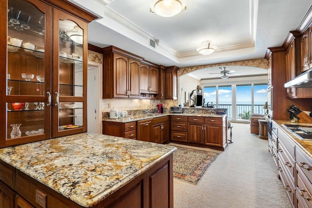 kitchen with ventilation hood, sink, ceiling fan, a tray ceiling, and light stone counters