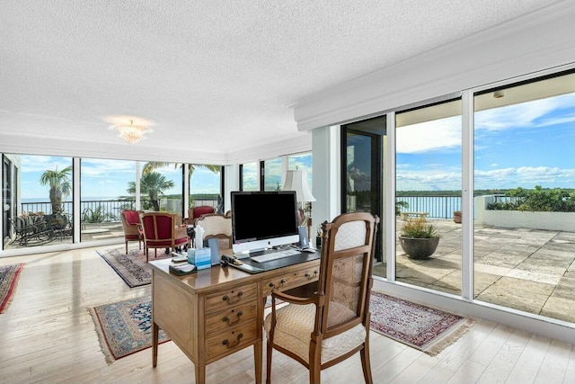 sunroom featuring a wealth of natural light