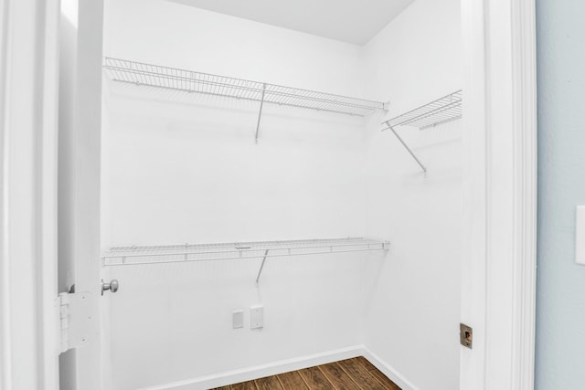 walk in closet with dark hardwood / wood-style flooring