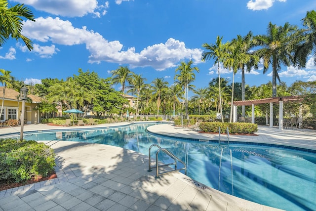 view of swimming pool with a patio area and a pergola