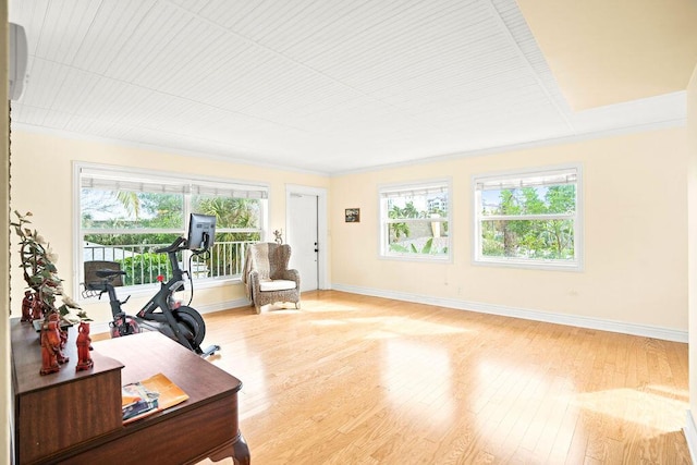 home office featuring crown molding, a wealth of natural light, and light hardwood / wood-style flooring