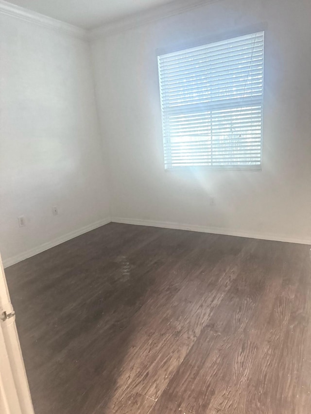 spare room featuring ornamental molding and dark hardwood / wood-style floors