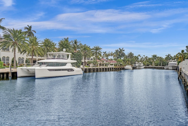 view of water feature with a dock