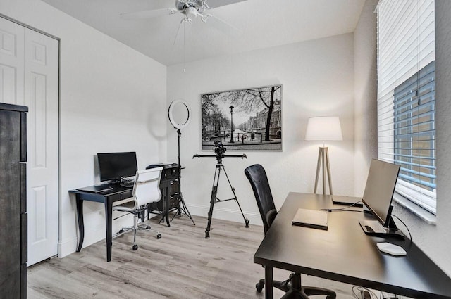 office space with light hardwood / wood-style floors and ceiling fan