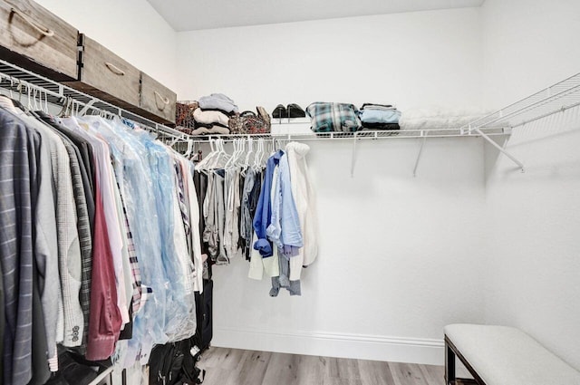 spacious closet featuring light hardwood / wood-style flooring