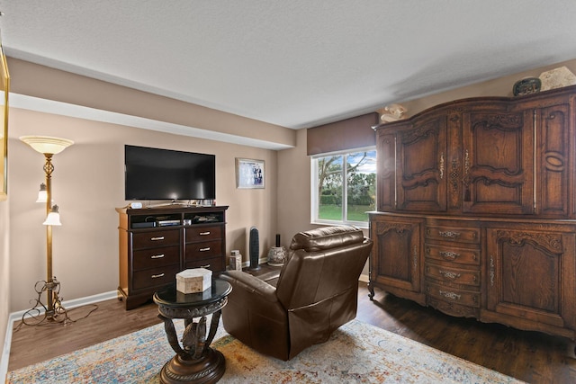 living room with dark hardwood / wood-style floors