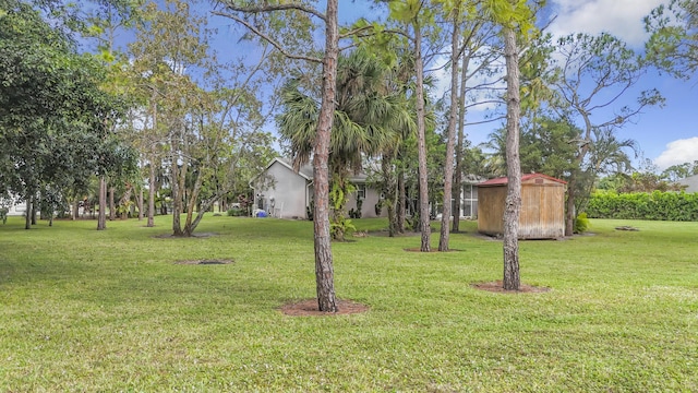 view of yard featuring a storage shed