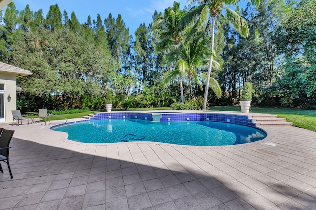 view of swimming pool featuring a patio area