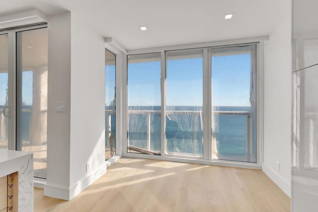 empty room with light hardwood / wood-style floors and a wall of windows