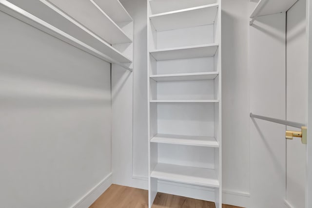 walk in closet with hardwood / wood-style floors