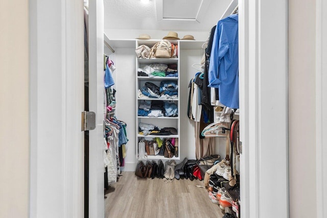 walk in closet with light wood-type flooring