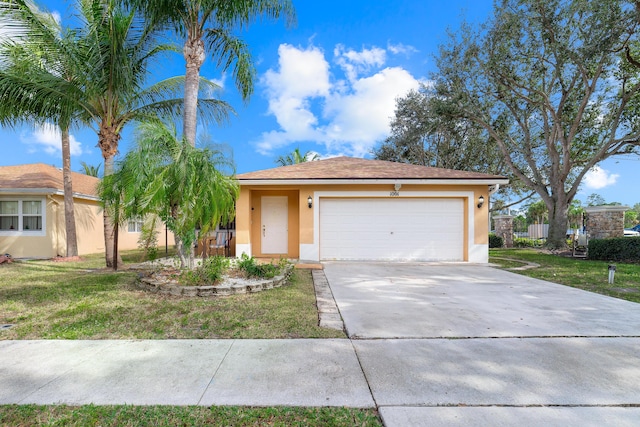 ranch-style house with a front yard