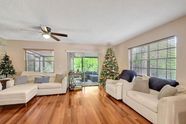 living room featuring ceiling fan, wood-type flooring, and a textured ceiling