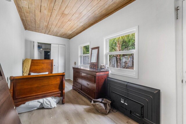 interior space featuring lofted ceiling, wood-type flooring, and wood ceiling