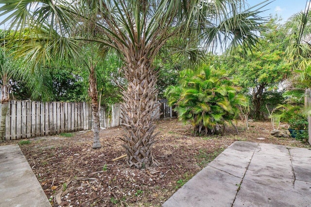 view of yard featuring a patio area