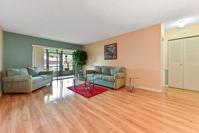 living room featuring light hardwood / wood-style flooring and a textured ceiling