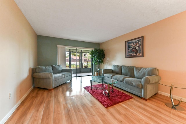 living room featuring light hardwood / wood-style floors