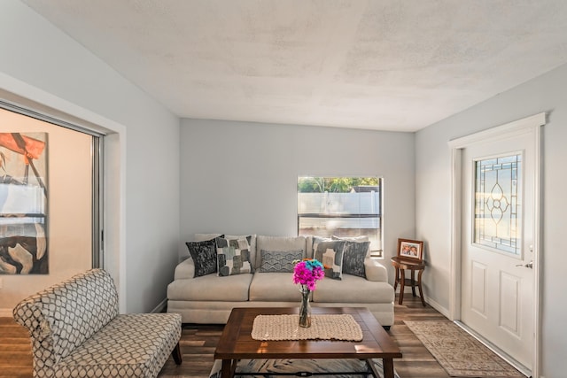 living room with hardwood / wood-style flooring