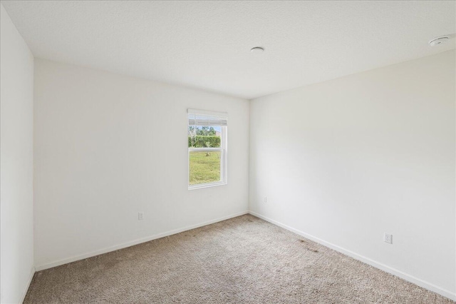 empty room featuring carpet flooring and a textured ceiling