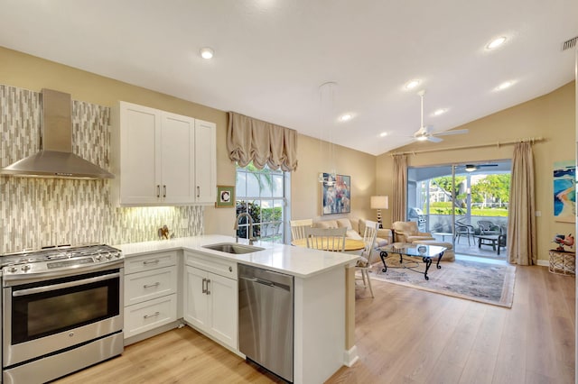 kitchen featuring exhaust hood, stainless steel appliances, white cabinets, and sink