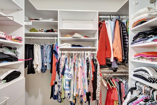 view of spacious closet