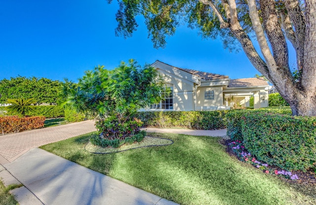 view of front facade with a front yard