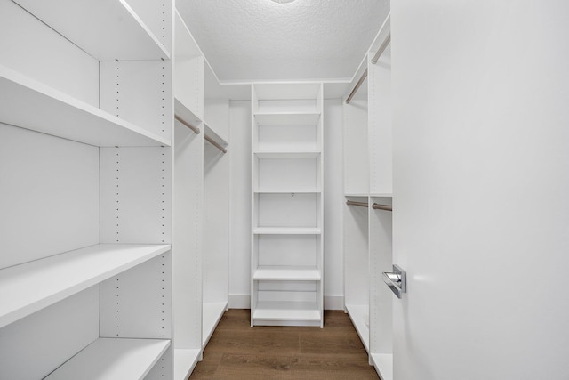 walk in closet featuring dark hardwood / wood-style floors