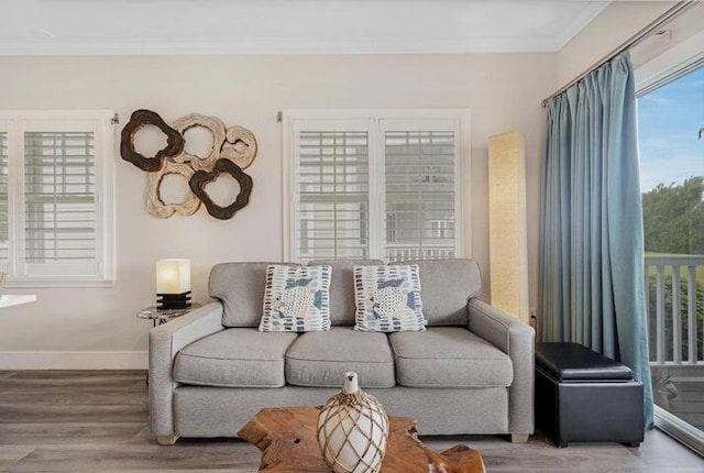 living room with crown molding and wood-type flooring