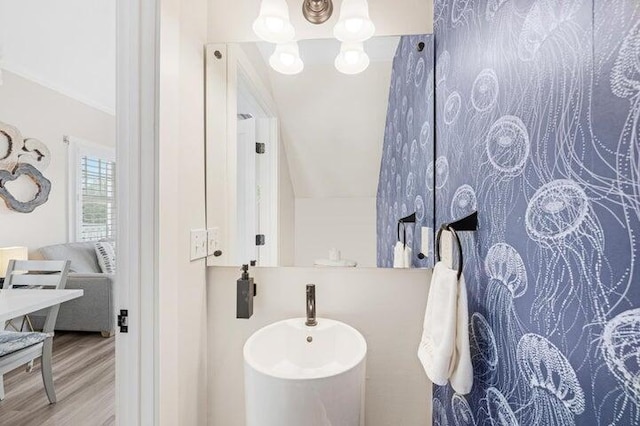 bathroom with lofted ceiling and wood-type flooring