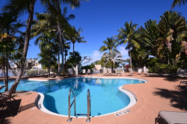 view of pool with a patio