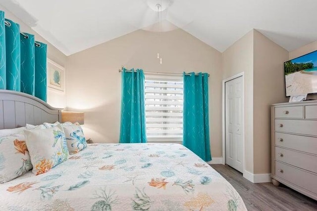 bedroom featuring wood-type flooring and vaulted ceiling