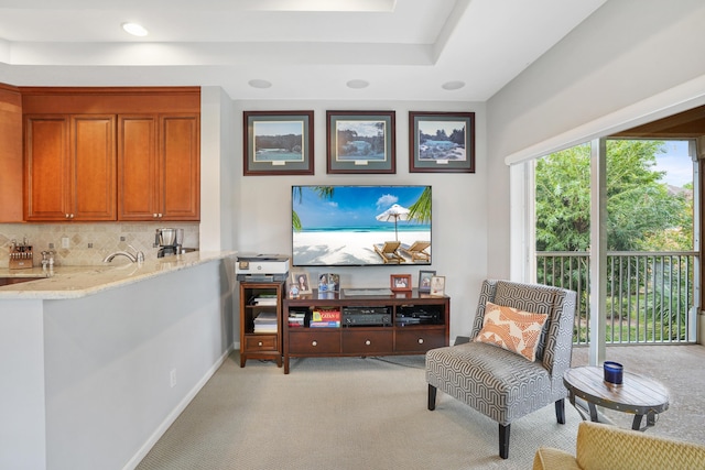 living area with light colored carpet and a raised ceiling